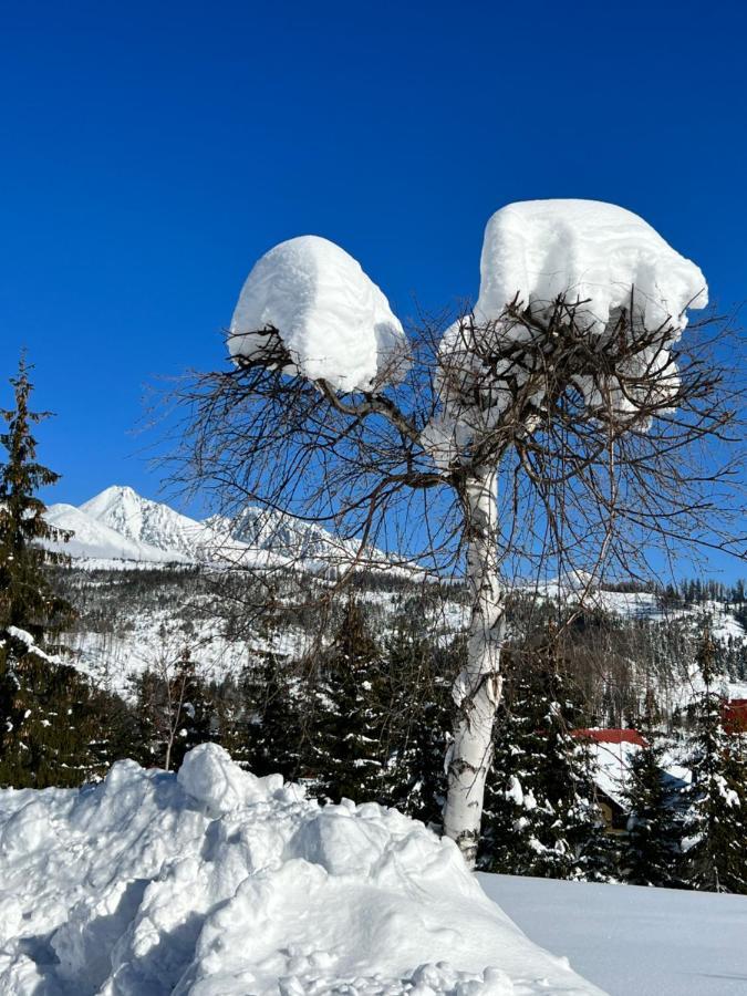 Botka Apartman, Tatranska Strba Esterno foto